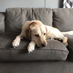 Jarett Mark Marrone - Instagram Profile Picture of Jarett Mark Marrone (@jarettmarrone2019) on Instagram