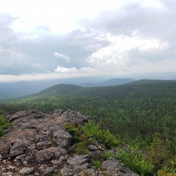 Profile Picture of Beverly Thompson (@beverlythomp359) on Poshmark