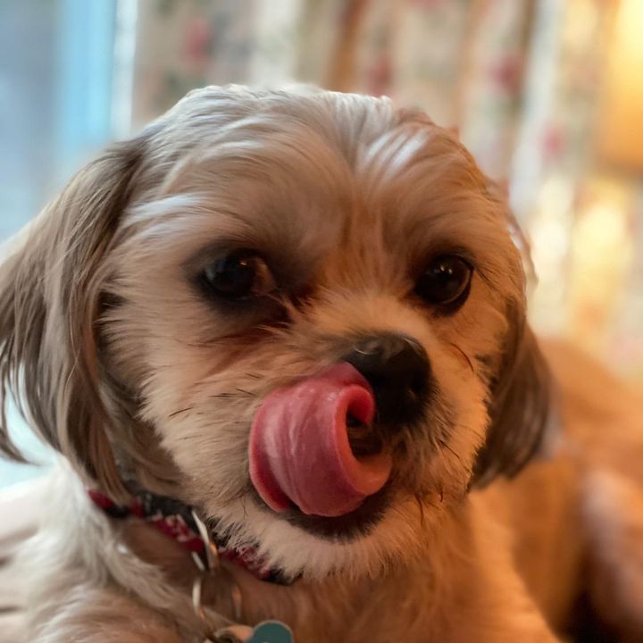 michaelrodier345 - Tiktok Profile Picture of michaelrodier345 (@michaelrodier345) on Tiktok