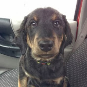 Profile Picture of Sean Brown (@inphomercial) on Youtube