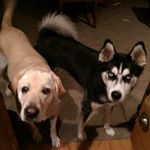 Profile Picture of Mark Rumley (@markrumley2) on Instagram