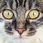 Profile Picture of Andrea Klumpp (@a_klumpp) on Instagram