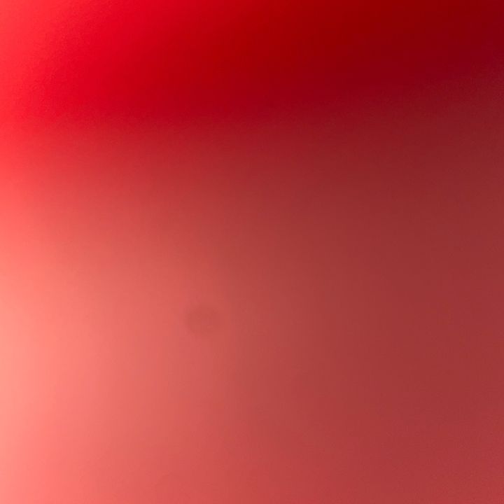 Tania - Tiktok Profile Picture of Tania (@taniavi0) on Tiktok