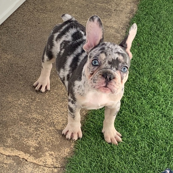 Marcos Vidales - Poshmark Profile Picture of Marcos Vidales (@marcosv884) on Poshmark