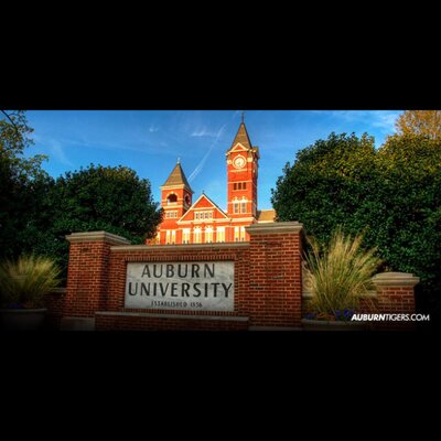 Profile Picture of Lucy Davis (@LucyAlea64) on Twitter