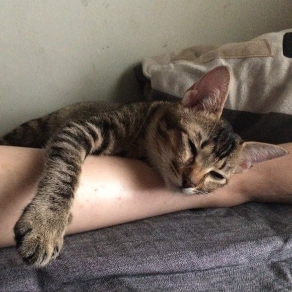 Profile Picture of Eric Ko (@ekekekek) on Poshmark