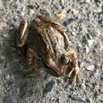 Profile Picture of Brian Fodell (@brianfodell) on Instagram