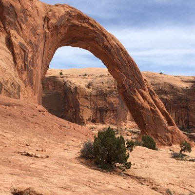 Profile Picture of Andy Britt (@Andybritt66) on Twitter