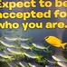 Profile Picture of Park Forest FifthGrade (@park.fifthgrade) on Facebook