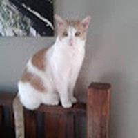 Profile Picture of Becky Keating (@becky-keating-9) on Quora