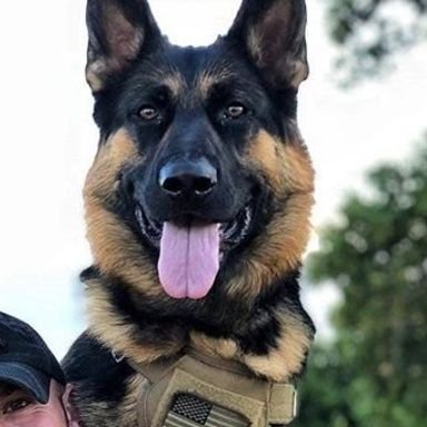 Profile Picture of Erik Thiele (@ErikThiele2) on Twitter