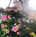 Profile Picture of Rosa Cobos (@rosa.cobos.5494) on Facebook