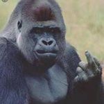 Profile Picture of Blake Hovey (@blake.hovey2018) on Instagram