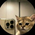 Profile Picture of Mau (@mauricio_a_llanes) on Instagram