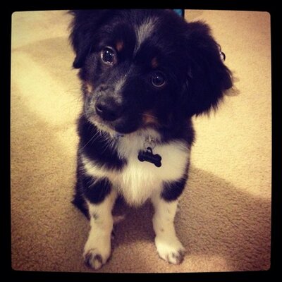Profile Picture of Bruce LeBron Rampage (@BruceDoesATL) on Twitter