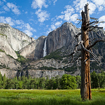 Profile Picture of Nathan Yan (@thedailynathan) on Flickr