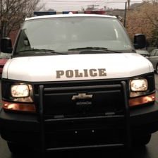 Profile Picture of Sandy Dougherty (@SandydocSd) on Twitter