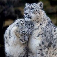 Profile Picture of Marc Mercier (@marc-mercier-3) on Quora