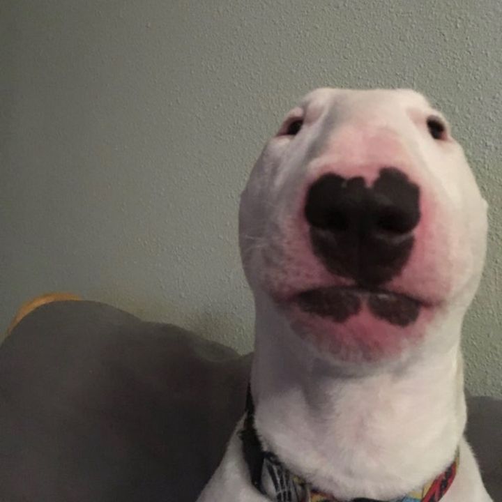 Profile Picture of Cole Shin (@cole.shin) on Tiktok