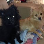 Profile Picture of Jason Pilarski (@jasonpilarski89) on Instagram