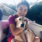 Profile Picture of Nancy Cheng (@nc077) on Instagram