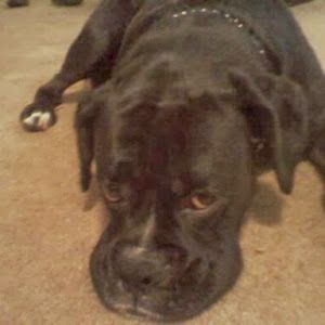 Profile Picture of Daniel Ransier (@danielransier) on Tiktok