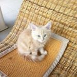 Profile Picture of David Pearce (@davespearce) on Instagram