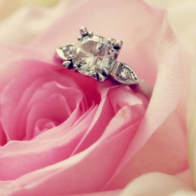 Profile Picture of Claribel Pineda (@ClaribelPineda3) on Twitter