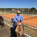 Profile Picture of Marcus Alves Ramos (@dr.marcusramos) on Instagram