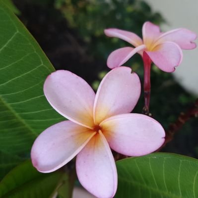 Profile Picture of Kim McCluskey (@kim_mccluskey) on Twitter