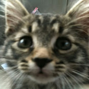 Dana Scully - Youtube Profile Picture of Dana Scully (@danascully6714) on Youtube