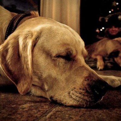 Profile Picture of Jeremy Harwood (@rjth73) on Twitter