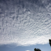 Profile Picture of Dave Watkins (@davehero123) on Youtube