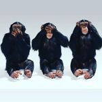 Profile Picture of Pablo Fierro (@_cukitodr_) on Instagram