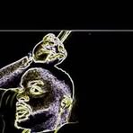 Profile Picture of Gene Heart (@gene.heart.34034) on Facebook