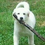 Profile Picture of John Majkut (@johnmajkut) on Instagram