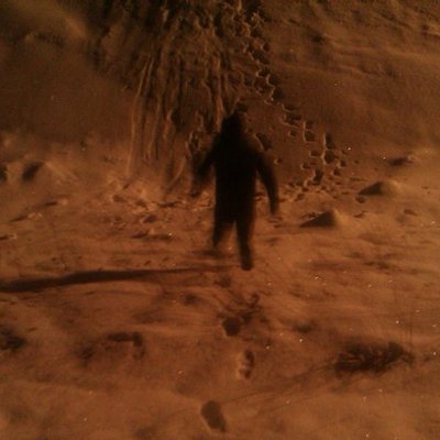 Profile Picture of Brandon Perrault (@@brandonperault) on Twitter