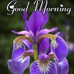 Profile Picture of Gary David Crowhurst (@crowhurstgary) on Instagram