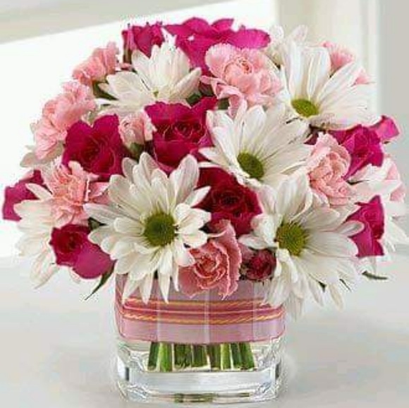 Profile Picture of Liza Quiles (@liza_pr_74) on Poshmark