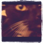 Profile Picture of Amanda Wyatt (@ajlovesotis) on Instagram