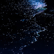 Profile Picture of Jeffery ZHANG (@jefferyzhang1555) on Youtube