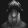 Profile Picture of Paul Towers (@paultowers1) on Tiktok