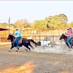 Profile Picture of Adam Tanner (@katanner77) on Instagram