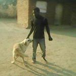 Profile Picture of Jonto Man (@jonto_man) on Instagram