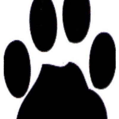 Profile Picture of Alison Marie Larue (@alison_larue) on Twitter