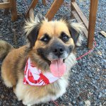 Profile Picture of Matt Fournier (@t_magik) on Instagram