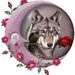 Profile Picture of Bobbie Wolfe (@mommawolfe7) on Pinterest