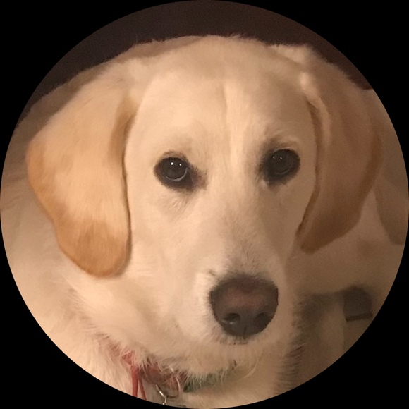 Profile Picture of Rudolfo Cordova (@shootingclays) on Poshmark