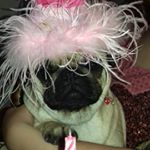 Profile Picture of Ruby Ni Conghaile (@rubysneedfulgifts) on Instagram