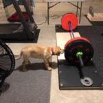 Profile Picture of Paul Visconti (@paulvisco) on Instagram